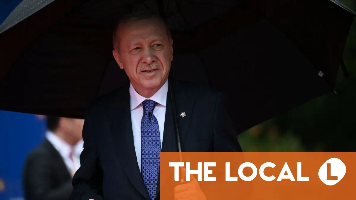 Den svenska journalisten befriad från Turkiet kommer