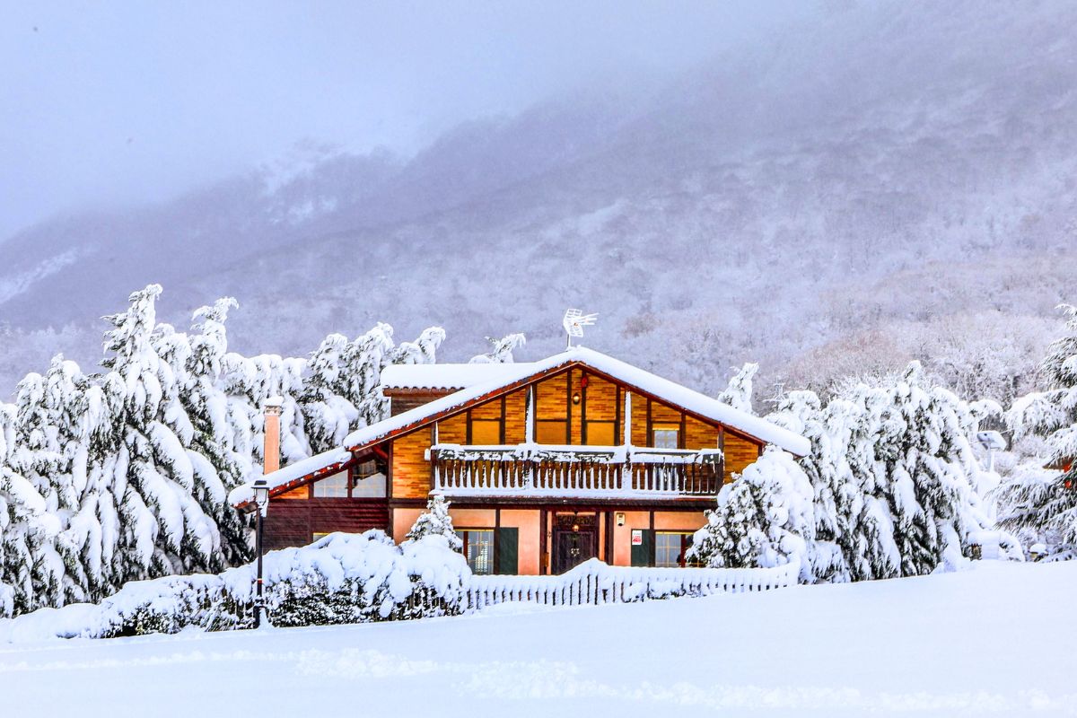 Upptäck detta otroliga