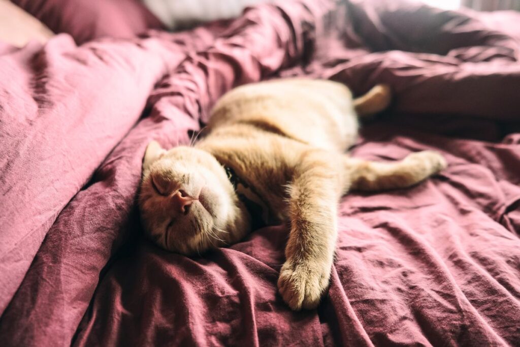 Han såg grannens hus till salu