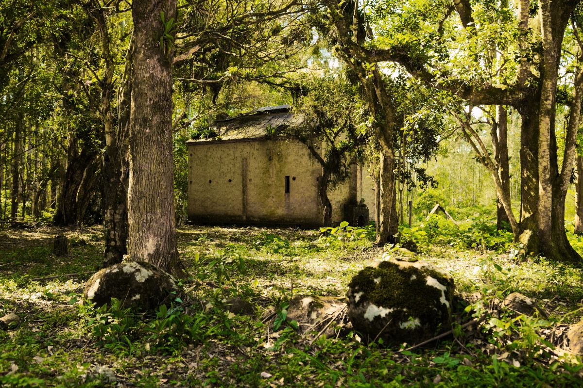 Familjen som levde isolerad i skogen i 40 år