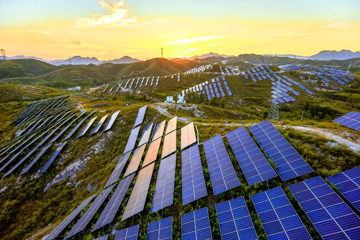 Sveriges största solcellspark har öppnat