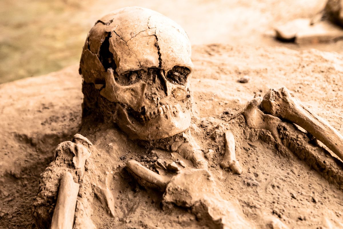 Fossilerna troddes vara mänskliga