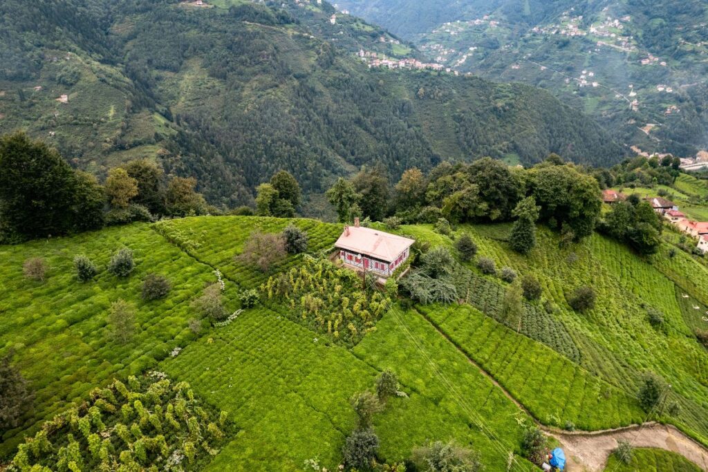 Dessa 10 hus är bland