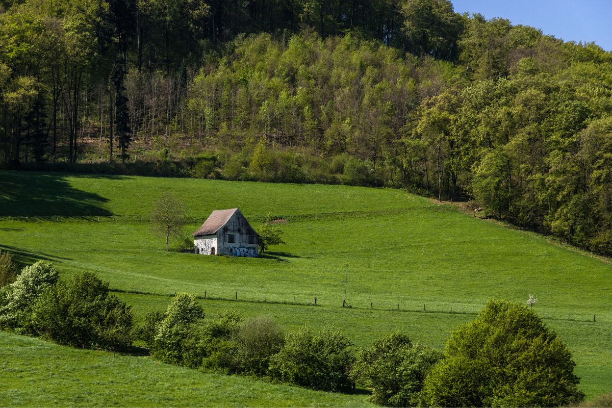 De lämnade allt för att leva i världens