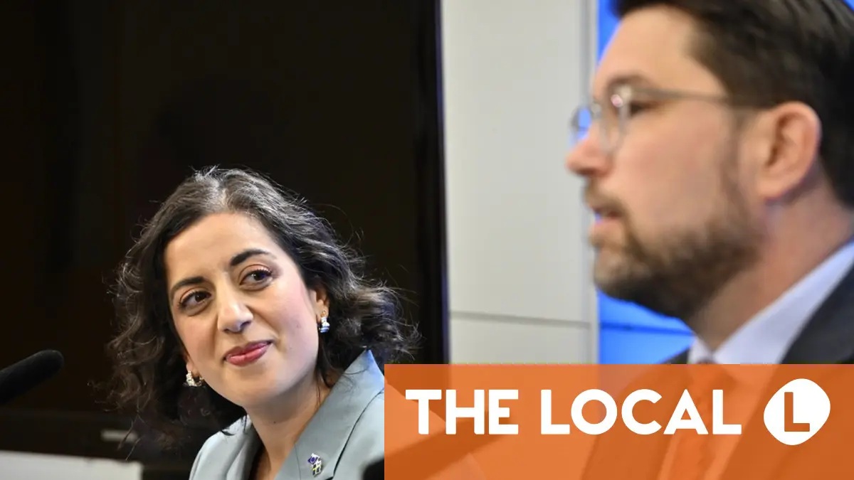 Liberalerna kommer att släppa in de högerextrema Sverigedemokraterna i regering