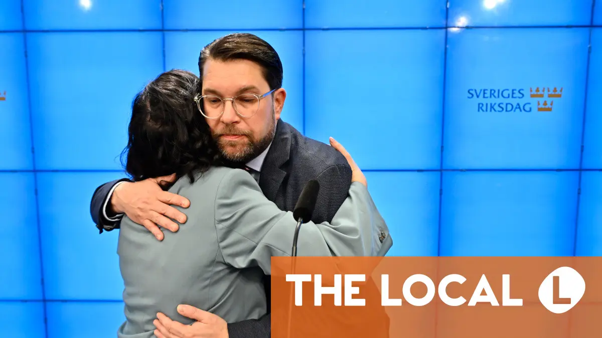 Vad står i Liberalernas 15-poängsuppgörelse med Sverigedemokraterna?