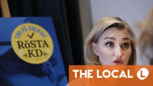 Svenskt parti kräver slut på använd-det-eller-förlora-det pappaledighet