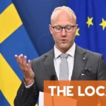 "Om du kom för att arbeta i Sverige på grund av lätta medborgarskapsregler vill jag inte ha dig"