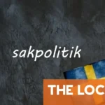 Dagens svenska ord: sakpolitik